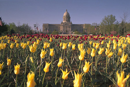 Capitol Bldg with Tulips